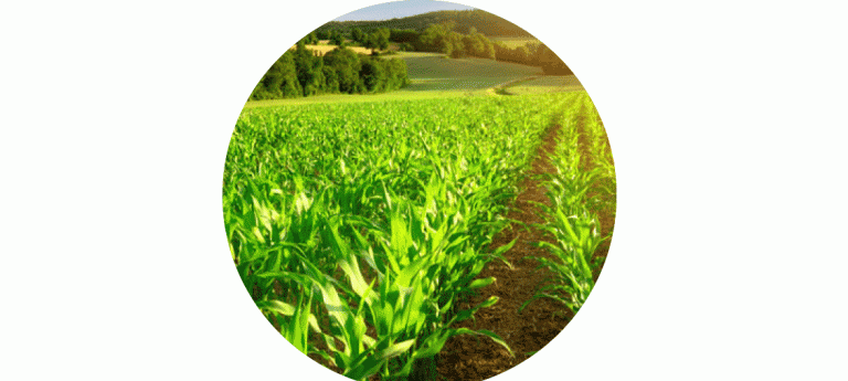 Agriculture – need for agglomeration of land holdings
